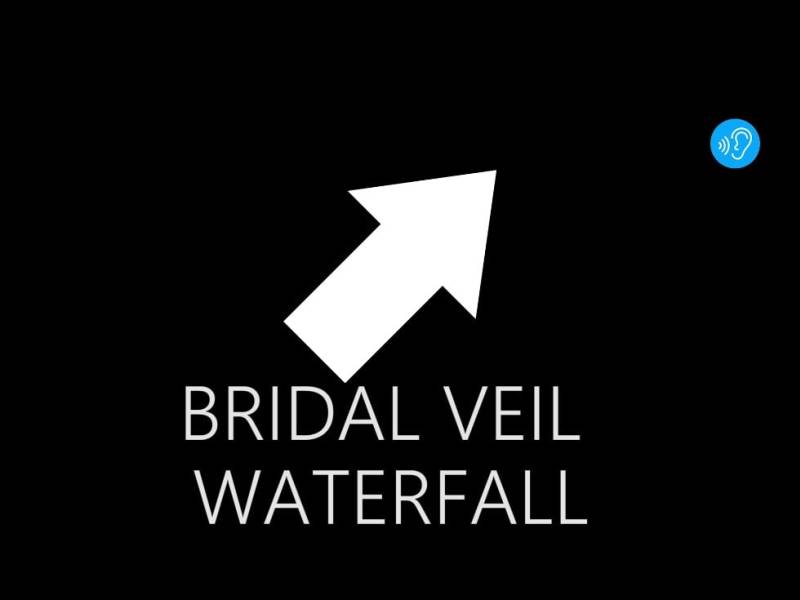 GA 13 Bridal veil